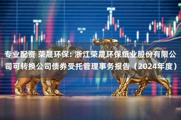 专业配资 荣晟环保: 浙江荣晟环保纸业股份有限公司可转换公司债券受托管理事务报告（2024年度）
