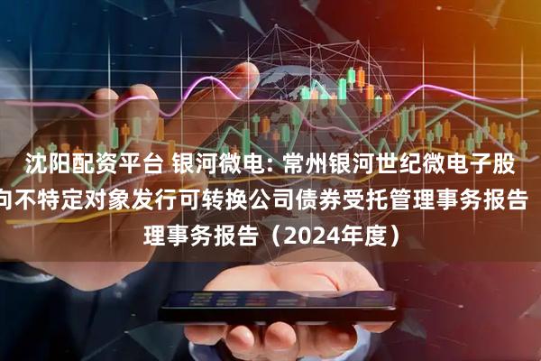 沈阳配资平台 银河微电: 常州银河世纪微电子股份有限公司向不特定对象发行可转换公司债券受托管理事务报告（2024年度）